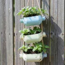 Upcycled Plastic Bottle Vertical Herb Garden