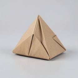 Origami Emergency Shelter Model
