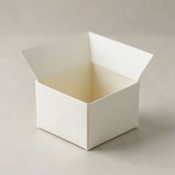 Minimalist Origami Paper Box